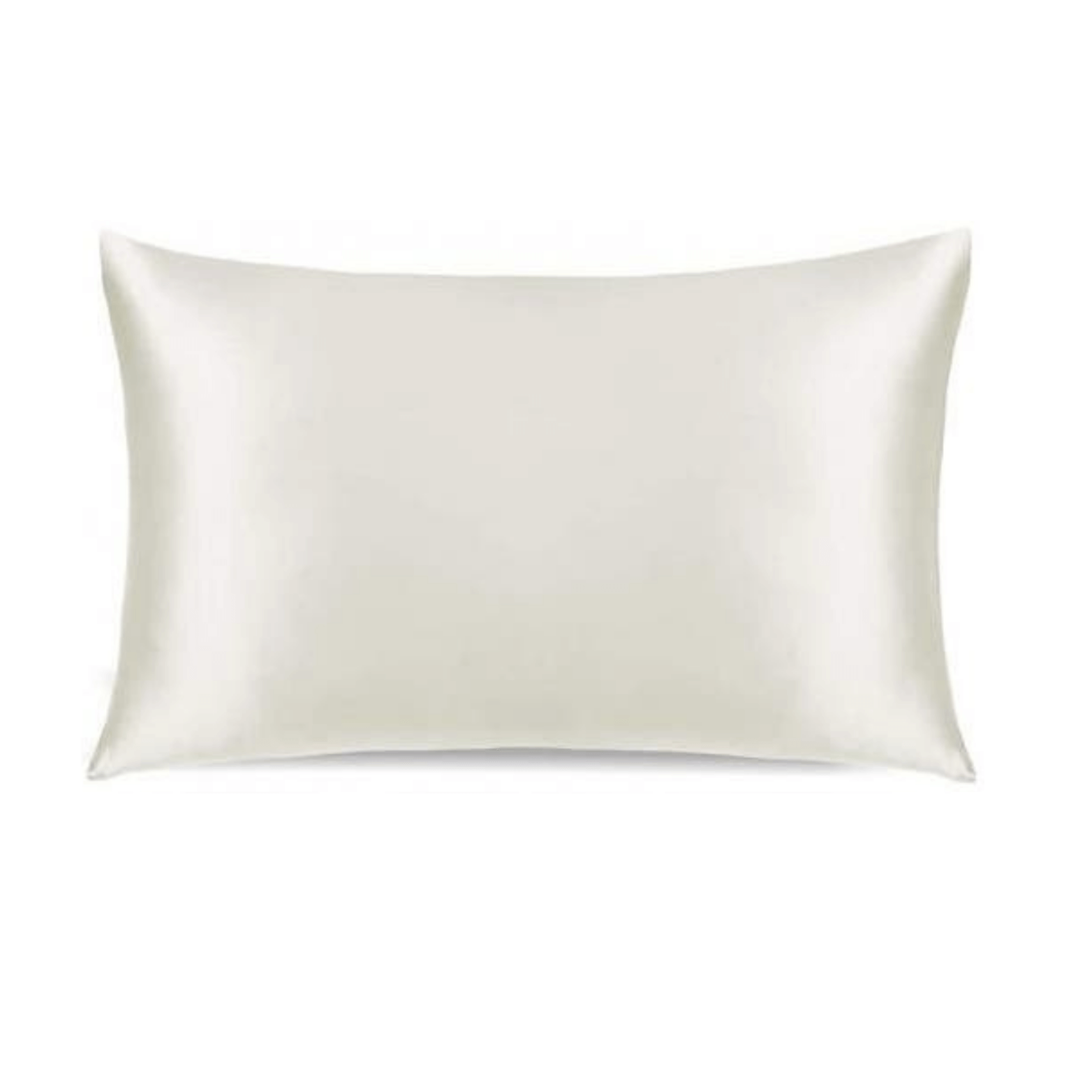 22 Momme Silk Pillowcase (Envelope Closure)