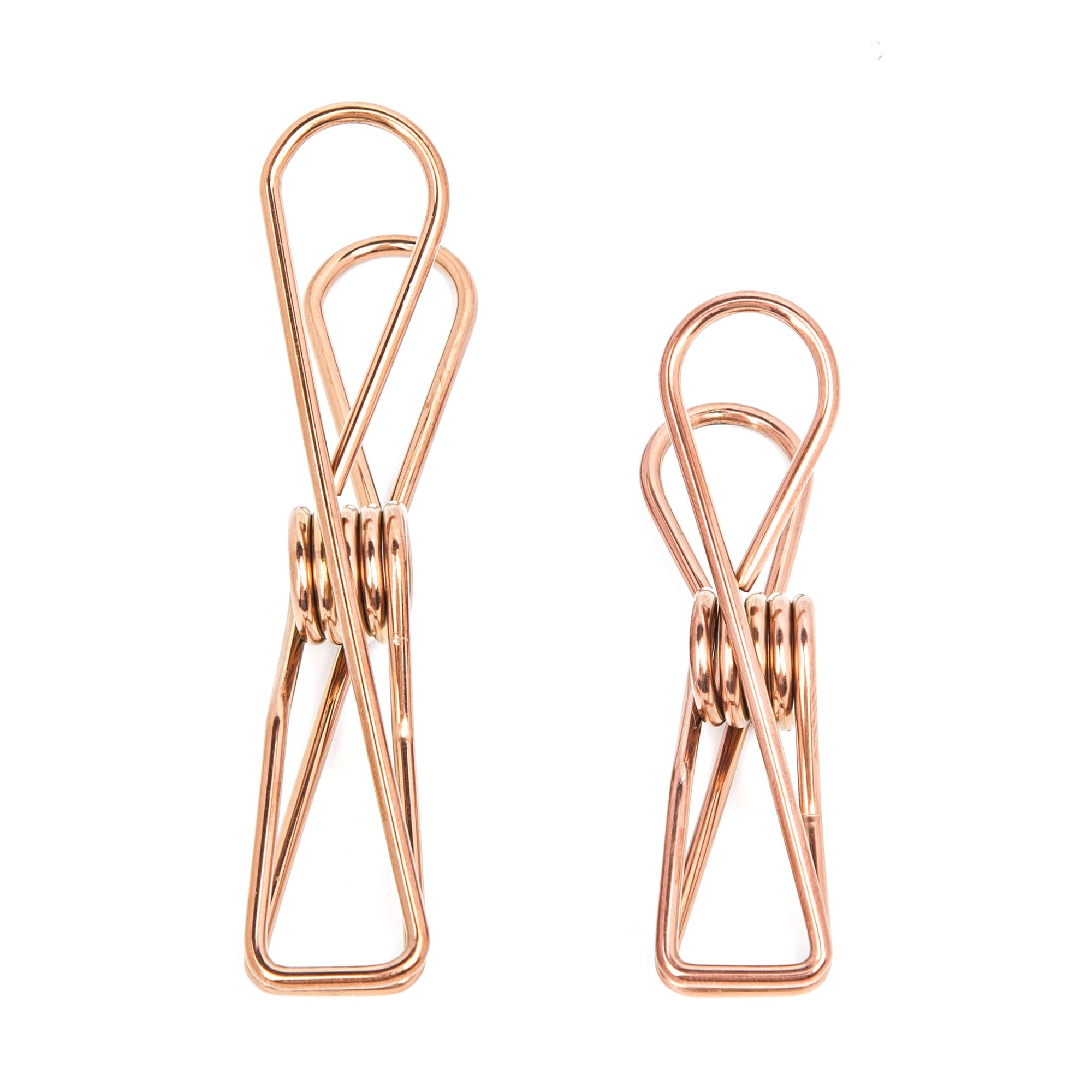 Rose Gold Stainless Clothing Pegs 40 Standard & 10 Large Pegs - EcoLuxe Living